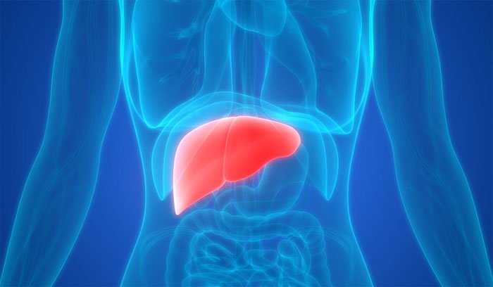 General advisory for liver patients in Covid era